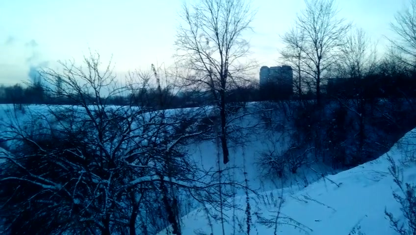 Зимой за деньги сосет в поле